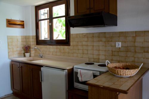 梅加利阿莫斯安娜别墅的厨房配有水槽和炉灶