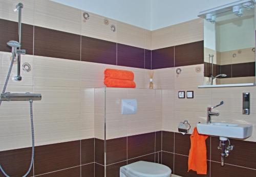 顺佩尔克Hotel Pod Radnicí的带淋浴、卫生间和盥洗盆的浴室