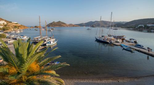 Grikos银滩酒店的一群船停靠在港口