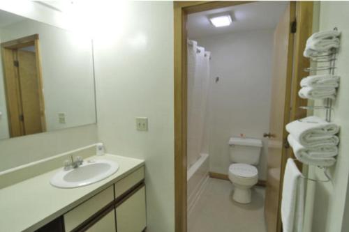 比迪福德比迪福德美国最有价值旅馆的一间带水槽、卫生间和镜子的浴室