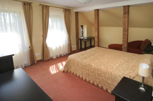 BubiaiGrafo Zubovo Hotel & SPA的酒店客房设有一张床和两个窗户。