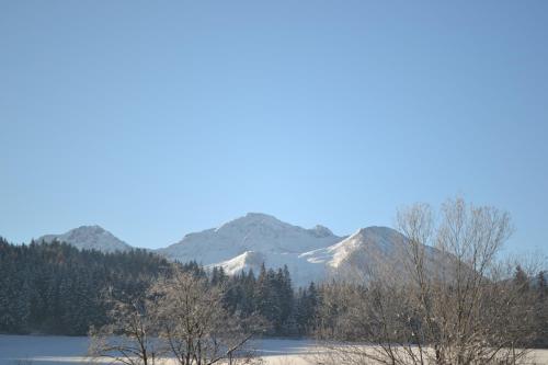 山景或在公寓看到的山景