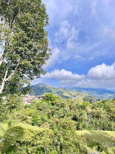 萨兰托Hostal Bamboo的享有树木和山脉的山丘美景