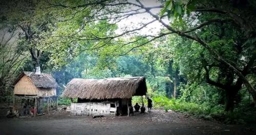 LoanengoVolcano smile lava tree house的一群动物站在小屋外