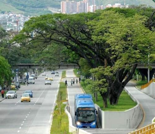 卡利Bau travel的一辆汽车驶向城市街道