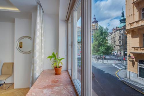 布拉格老城广场公寓的市景房里带盆栽的窗户