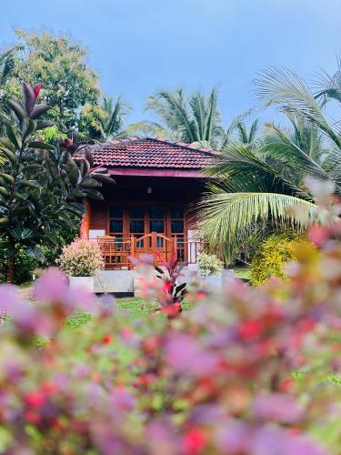 Hanguk Lanka Lagoon Villa