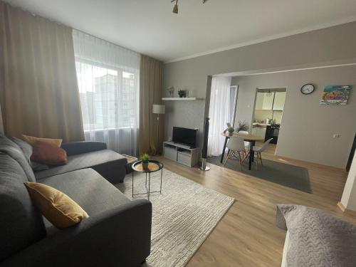 里加Cozy apartment close to Riga Airport的带沙发、电视和桌子的客厅