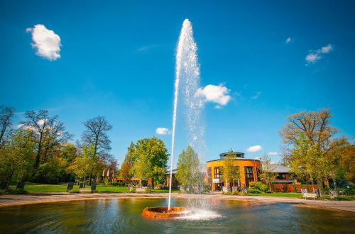 巴特恩豪森Vienna House Easy by Wyndham Bad Oeynhausen的池塘中央的喷泉