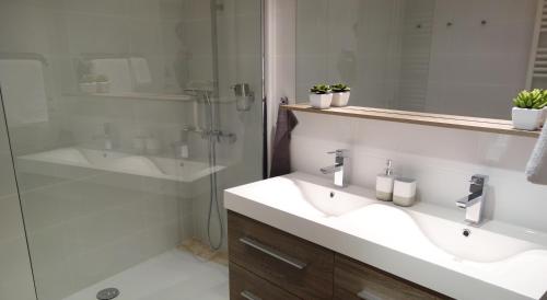 阿尔勒阿尔勒天堂 - 乐阁楼杜中心公寓的浴室配有2个盥洗盆、淋浴和浴缸。