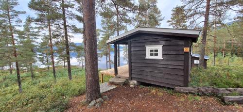 HauggrendTelemark Camping的树林中的小小屋,有树