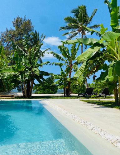 LIONS VILLAS ZANZIBAR - Private Cook & Infinity Pool - ON THE SEASIDE