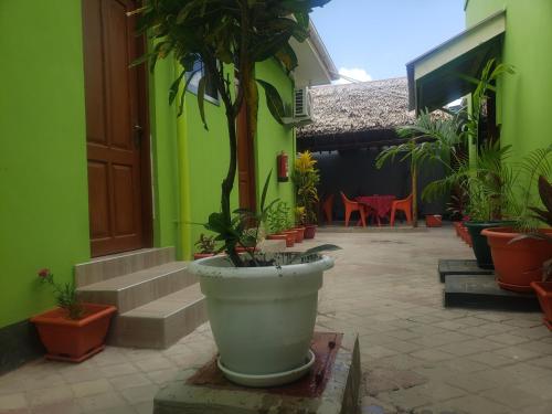 L&j modern backpackers BnB