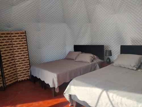 El EsteroGlamping Domos Lago Rapel的一间客房内配有两张床的房间