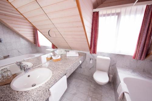 IpsachHotel Schlössli的浴室配有盥洗盆、卫生间和浴缸。