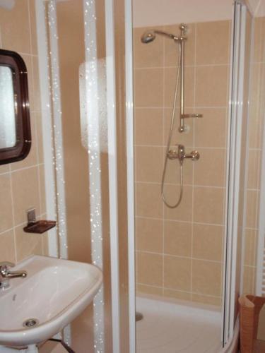 拉莫佐夫Apartmán Ramzová B14的带淋浴、盥洗盆和卫生间的浴室