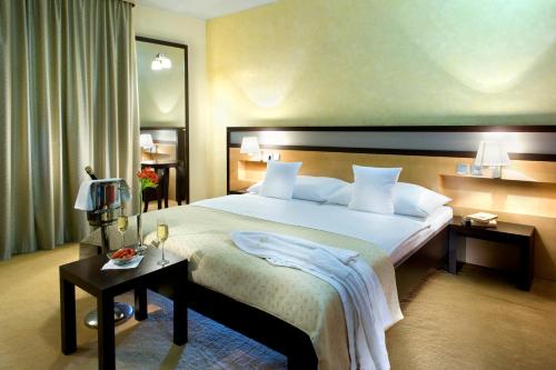 日利纳Boutique Hotel Dubná Skala的酒店客房设有一张大床和一张桌子。