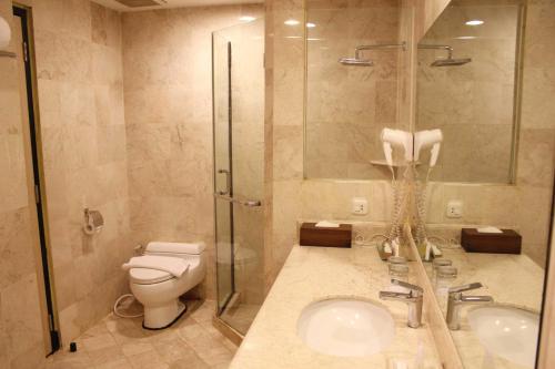 Batulicin巴杜里京埃博妮酒店的浴室配有卫生间、淋浴和盥洗盆。