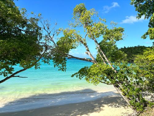 大博格La Perle de l'Hamaca - Piscine, Plage, Blue Dream的透过树林欣赏海滩美景