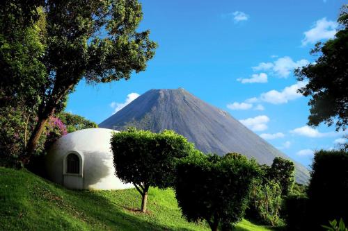 Cerro VerdeHotel Finca Campo Bello的山 ⁇ 和树木的背景