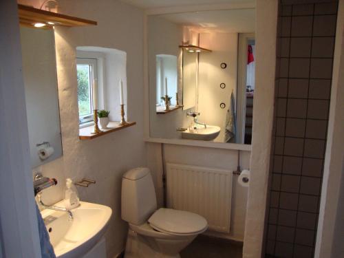 维堡Klosterpensionen Annex的一间带卫生间、水槽和镜子的浴室