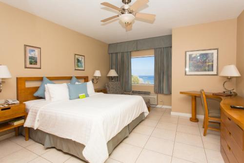 Claxton BayCara Hotels Trinidad的一间卧室设有一张大床和一个窗户。