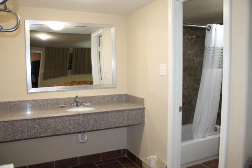 帕里斯美利坚套房酒店的一间带水槽和镜子的浴室