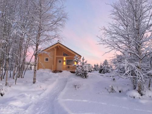 讷利莫奈里姆度假屋的雪中树屋