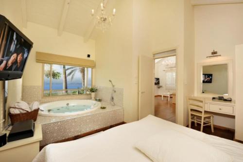 莫沙夫拉莫特The White Chalet View的一间带电视和床浴缸的卧室