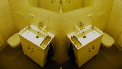 班贝格安恩班贝格大会堂公寓酒店的浴室设有2个水槽和2面镜子