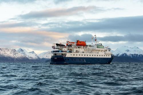 24hrs Northern Lights & Whale Watching Cruise