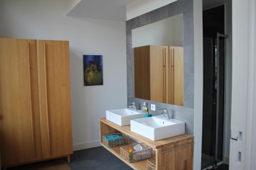 布鲁塞尔乐维尔吉尔住宿加早餐酒店的浴室设有2个水槽和镜子