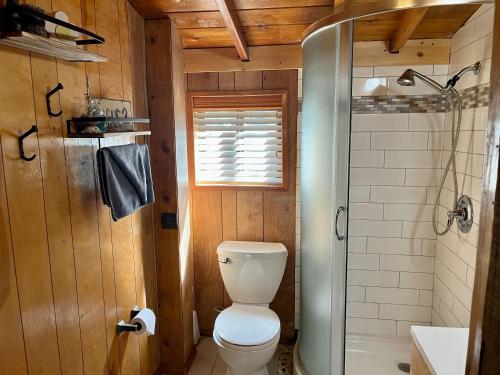 鲁伊多索Knotty Pine: A Cute Ruidoso Classic with a Private Hot Tub!的一间带卫生间和淋浴的浴室