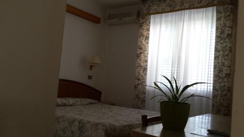 圣多米诺紫罗兰酒店的一间卧室配有一张床和一个植物窗户