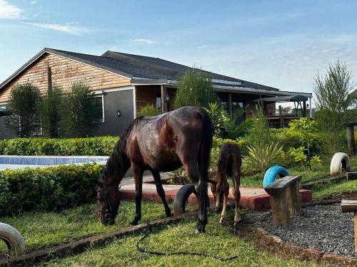 Greenleaf Farm Cottages