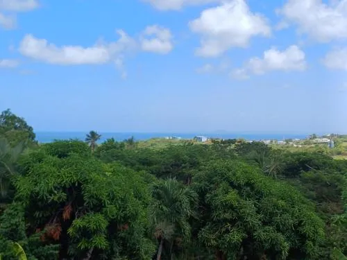 Rooster Run Glamping Camping has rooftop and off the ground Glamping experience for 1 to 16 in a single tent and views of The Rain Forrest and to Culebra across the Atlantic Ocean w Tents, Linens, Deluxe Air Beds, Warm Shower and More at a Great Price