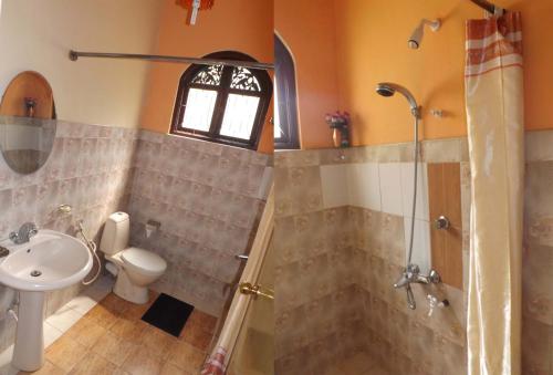 瓦都瓦Holiday Nest Bed & Breakfast的带淋浴、卫生间和盥洗盆的浴室