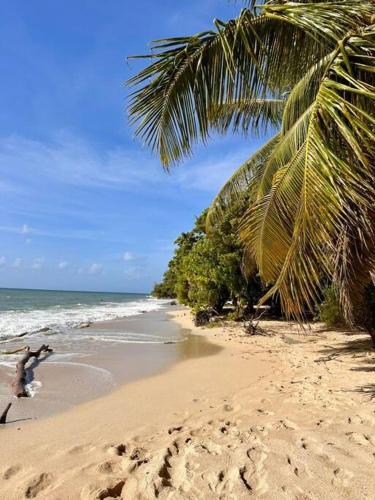 Bambou Suite vue mer à 50 m de la plage et de la piscine