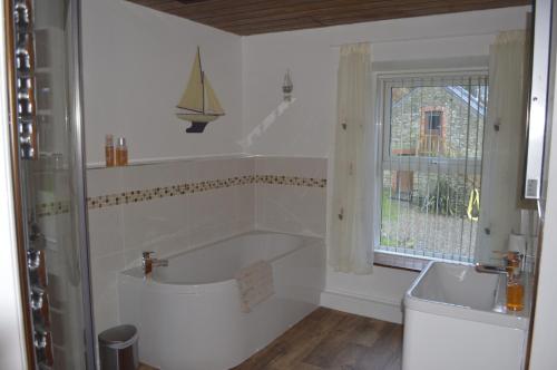 卡迪根Troedyrhiw Bed & Breakfast的一间带两个盥洗盆、浴缸和窗户的浴室