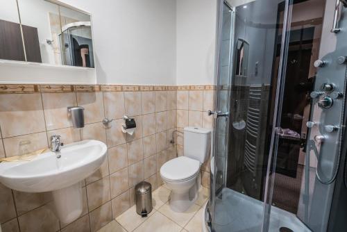 科希策Hotel David with Free Parking的一间带水槽、卫生间和淋浴的浴室