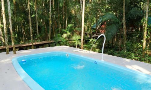 Comandante AndresitoSurucua Reserva & Ecolodge的森林中带水龙头的游泳池