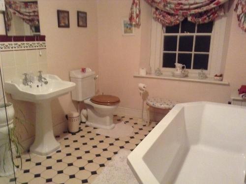 巴森斯韦特达希农舍度假屋的浴室配有盥洗盆、卫生间和浴缸。