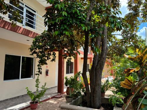 Casa del cenote