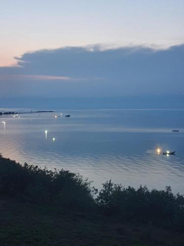 Wild Camping Lake Albert Shores