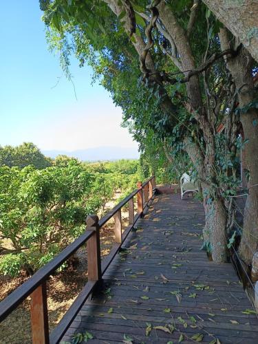 Napahong forest camp