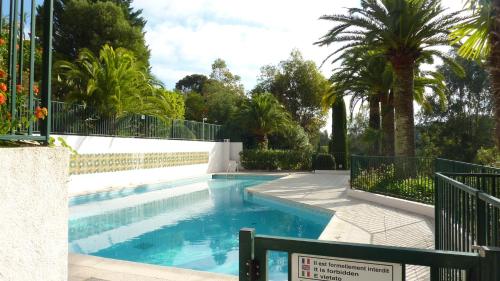曼德琉-拉纳普勒Plein Soleil的一个带围栏和棕榈树的游泳池