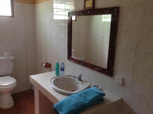 MsambweniSawa Sawa Beach House的一间带水槽、镜子和卫生间的浴室