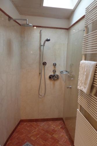 博尔扎诺Apartment Leonardo的带淋浴喷头的浴室