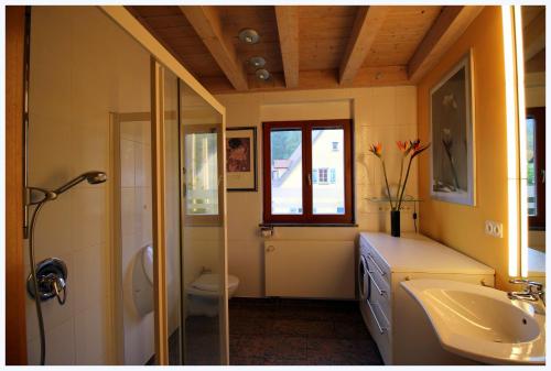 埃朗根艾艾姆博格伯格公寓的一间带水槽和卫生间的浴室以及窗户。