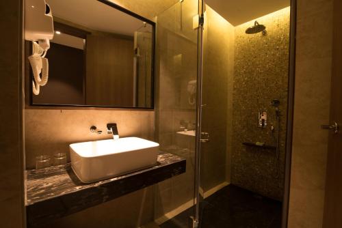 巴淡岛中心艾斯卡酒店的一间带水槽和淋浴的浴室